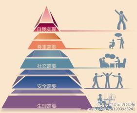 美国理论在线观看,深度解析与精彩解读