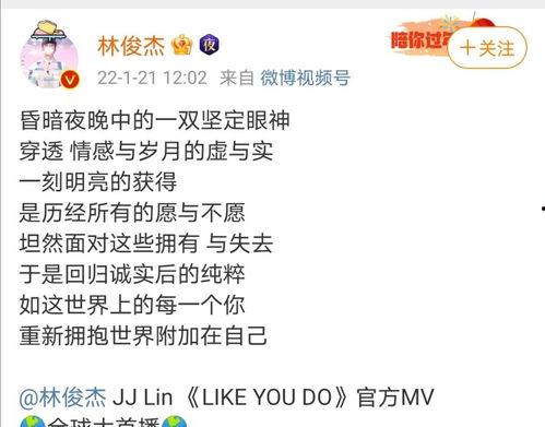 爆料类视频音乐推荐